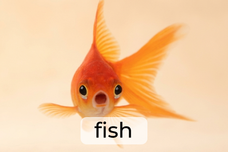 产品系列：FISH