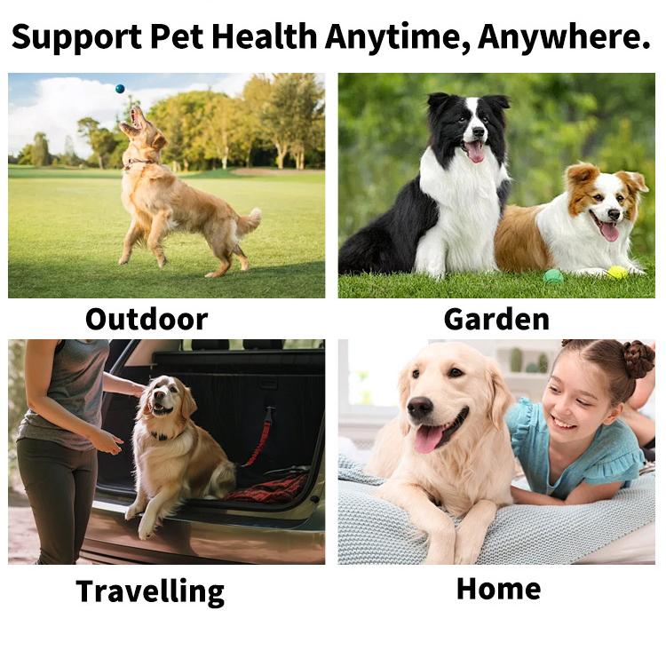 Gentle Tear Stain & Pet Eye Wipes for All Dogs & Cats ， Reduce Tear Stains