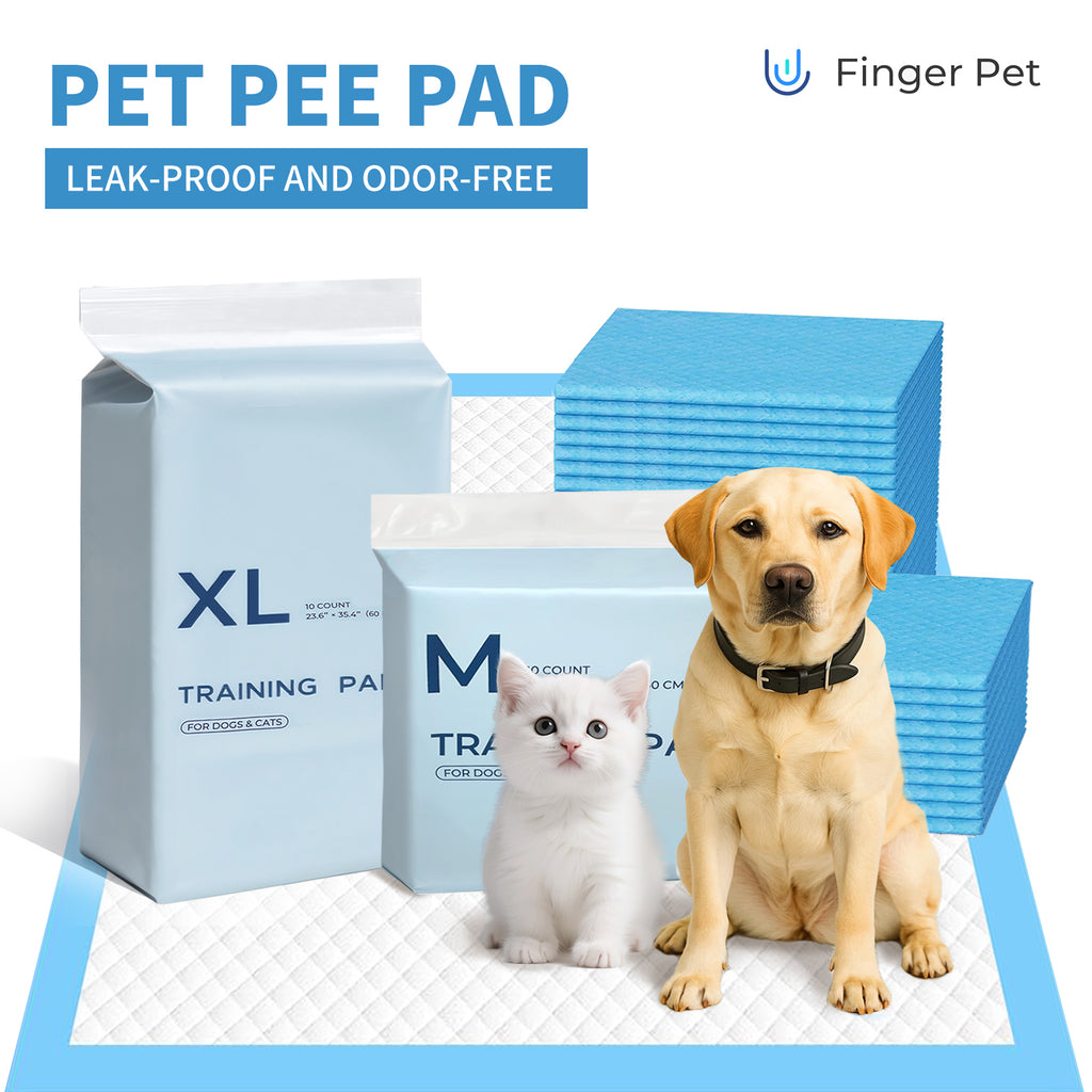 Disposable Pet Pee Pads – Blue, Leak-Proof, Perfect for Travel & Training