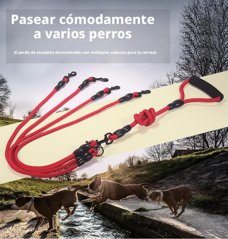 Detachable 2-in-1 Dog Leash – Multi-Head Coupler for Walking Two Dogs