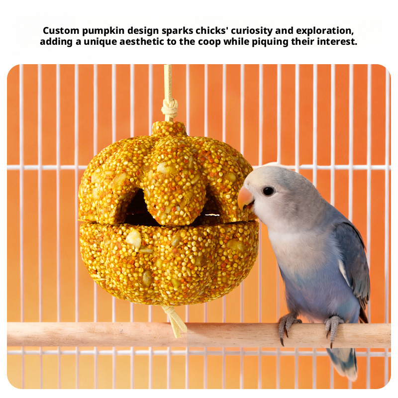 Parrot Chewing Treats – Pumpkin Chew Toy, Nutritious Snacks, Grinding Toys for Budgies, Lovebirds & Cockatiels