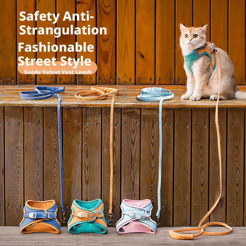 Adjustable Escape-Proof Cat Harness and Leash Set – Cute Breathable Vest for Small Dogs, Anti-Pull & Secure for Outdoor Walks
