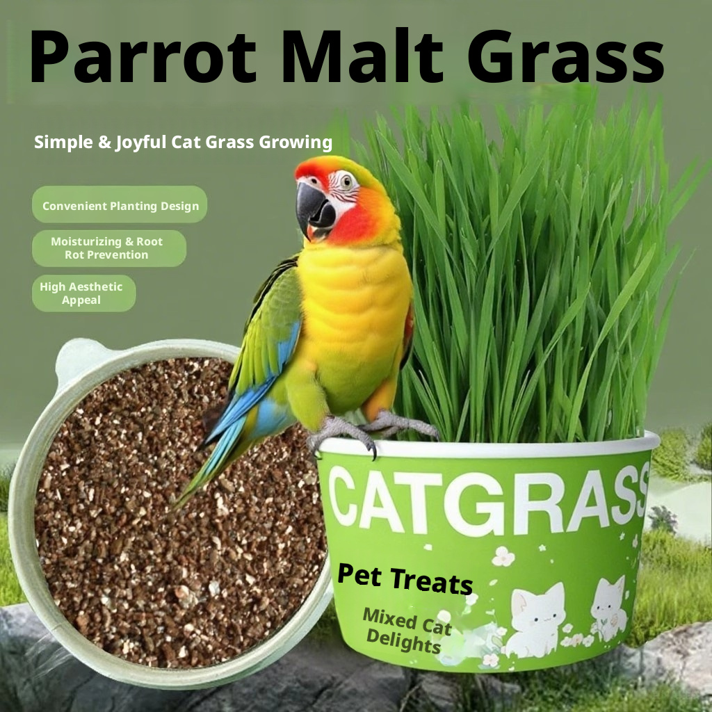 Natural Wheatgrass for Parrots – Edible Bird Grass Toy for Budgies, Cockatiels & Small Birds – Chewable Bird Treat & Foraging Toy