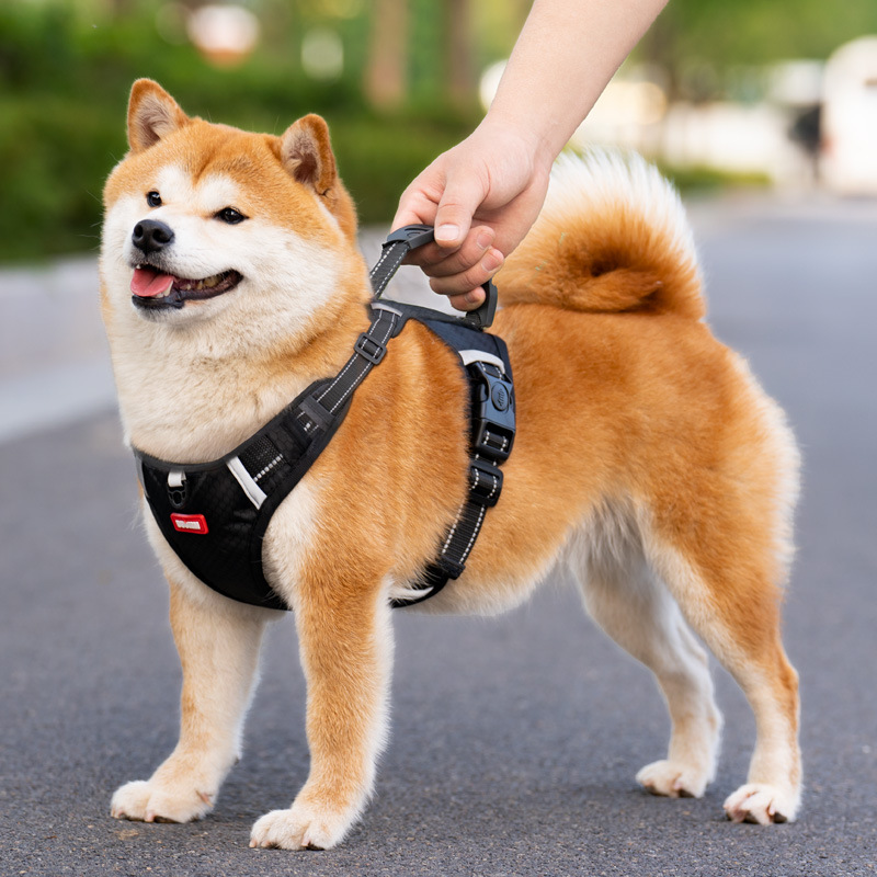 Escape-Proof Dog Harness & Leash – Vest-Style Walking Set for Medium to Large Breeds, Ideal for Shiba Inu