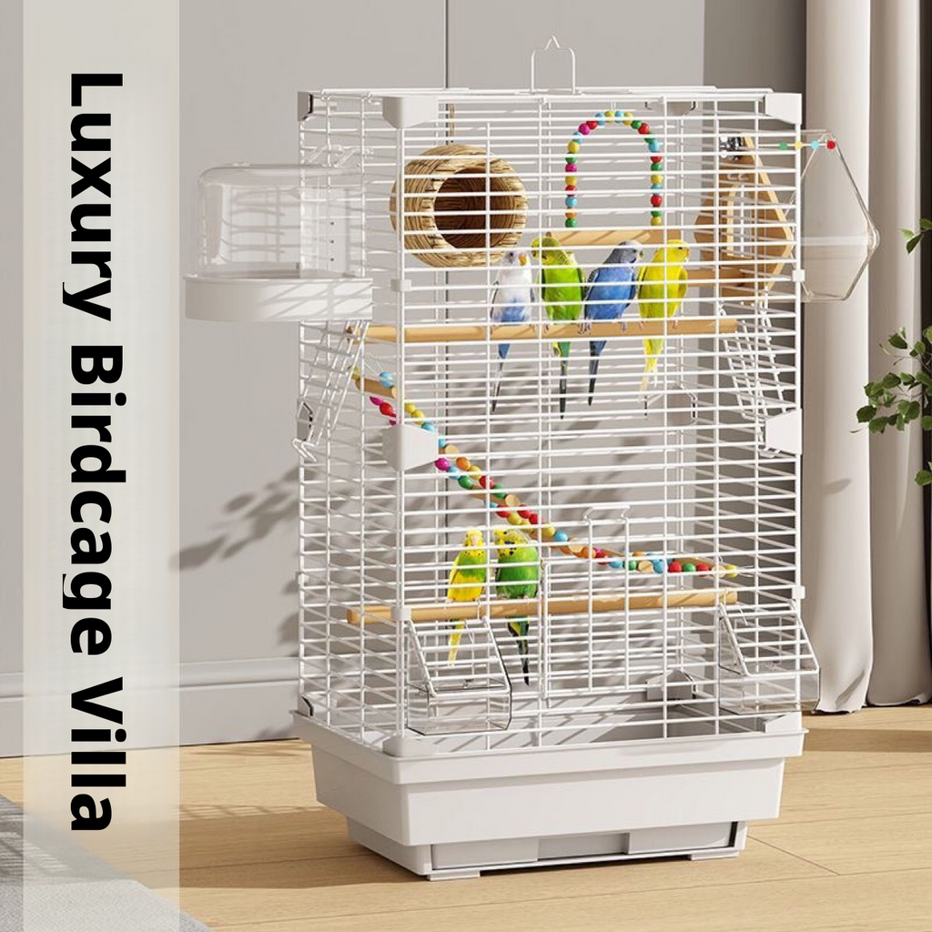 Clear Large Bird Cage – Acrylic Parrot Cage for Budgie, Lovebird & Cockatiel, Spacious Villa-Style Home