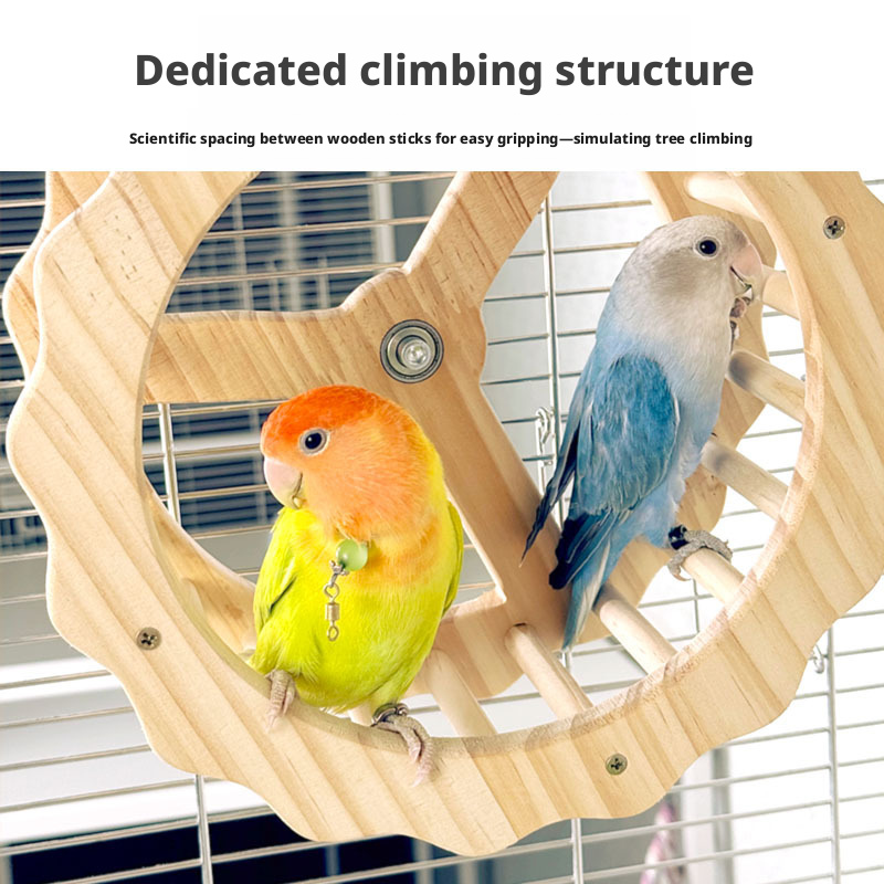 Parrot Ferris Wheel Running Toy, Solid Wood Bird Exercise Wheel with Swing for Small Birds