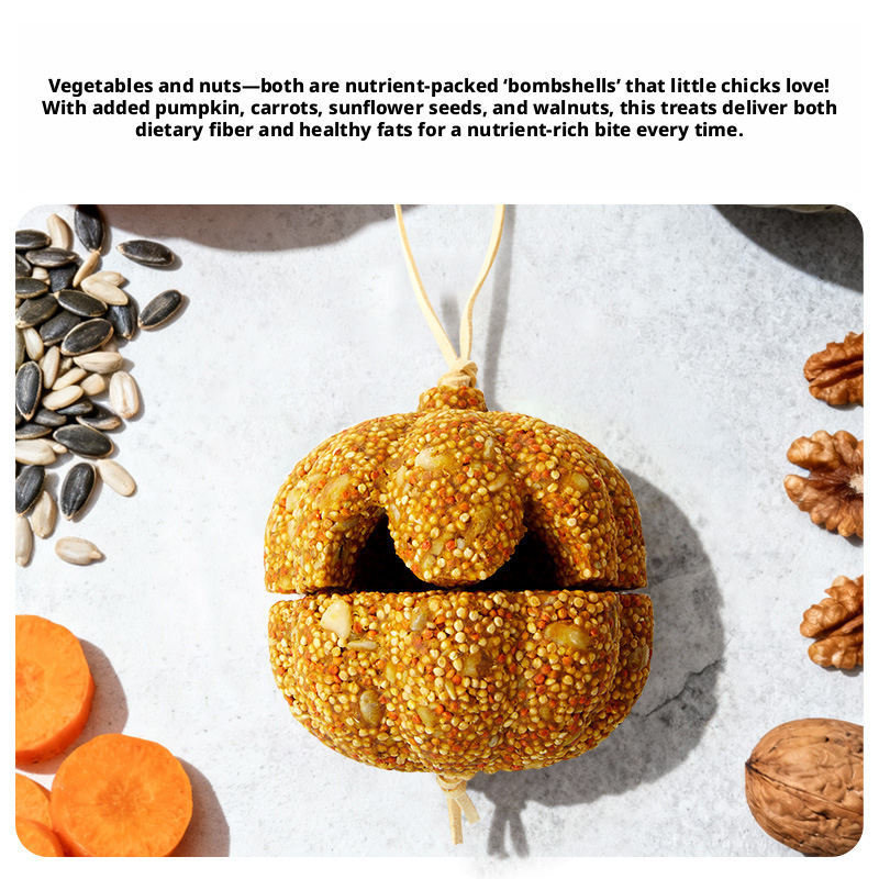 Parrot Chewing Treats – Pumpkin Chew Toy, Nutritious Snacks, Grinding Toys for Budgies, Lovebirds & Cockatiels
