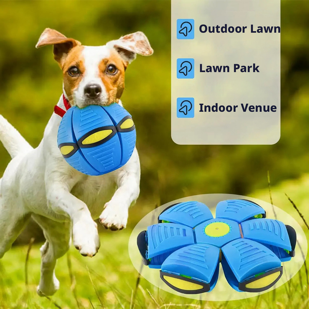 Magic Flying Disc Ball – Stomp & Deform Bouncing Ball for Kids, Outdoor Active Toy