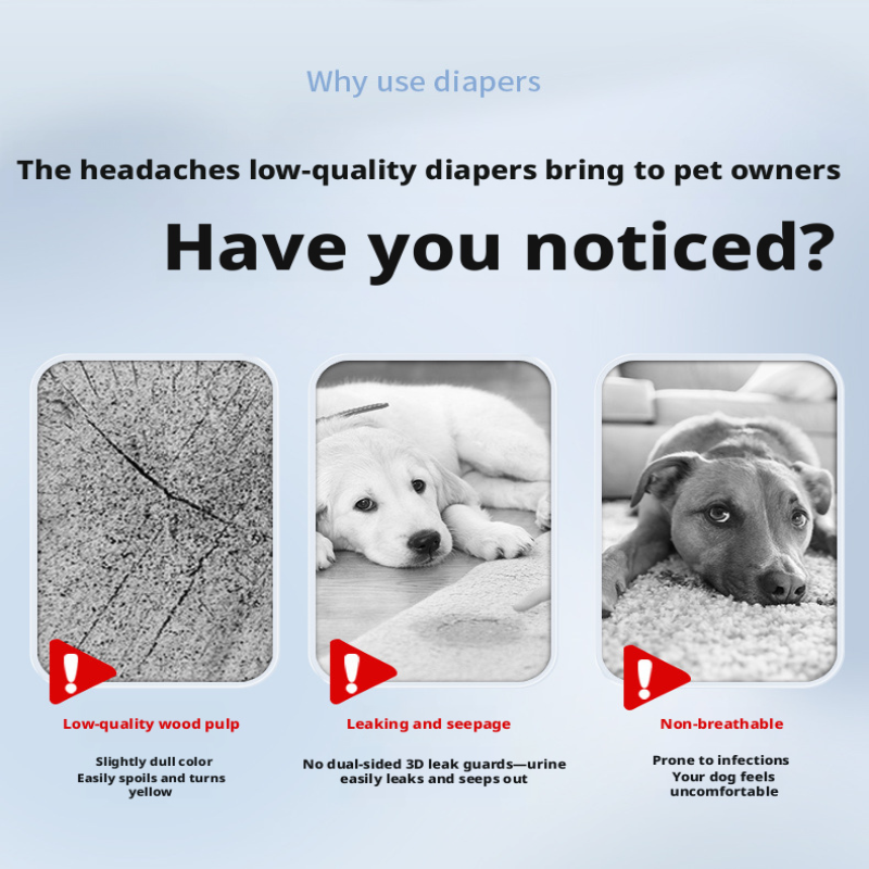 Dog Diapers & Sanitary Pants – Male/Female Pet Diapers, Pee Pads & Heat Period Panties