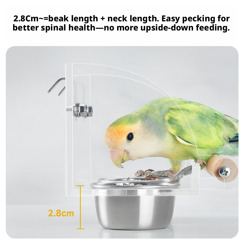 Stainless Steel Splash-Proof Bird Feeder – Anti-Spill Food Bowl for Parrots, Budgies, Lovebirds & Cockatiels