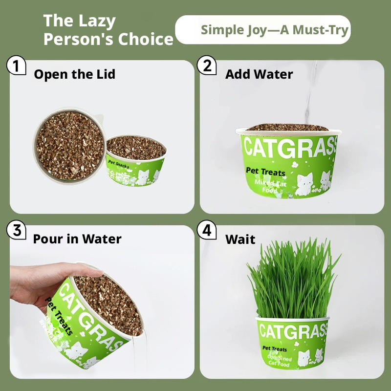 Natural Wheatgrass for Parrots – Edible Bird Grass Toy for Budgies, Cockatiels & Small Birds – Chewable Bird Treat & Foraging Toy