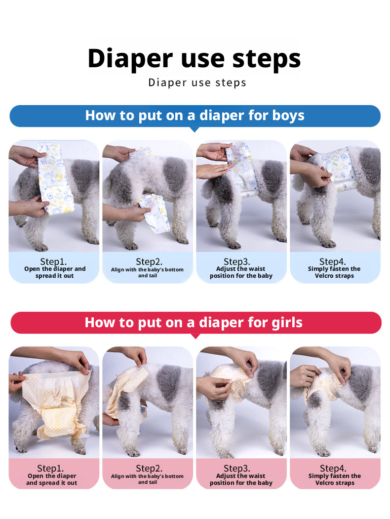 Dog Diapers & Sanitary Pants – Male/Female Pet Diapers, Pee Pads & Heat Period Panties
