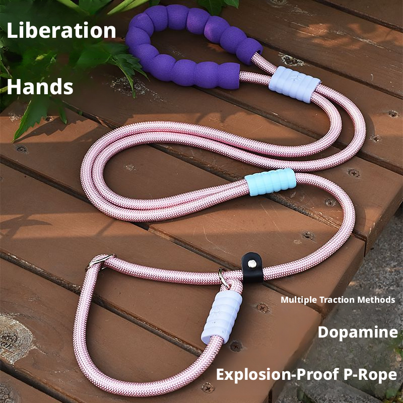 Anti-Pull Dog Leash – P-Rope & P-Chain Training Leash for Small to Large Breeds