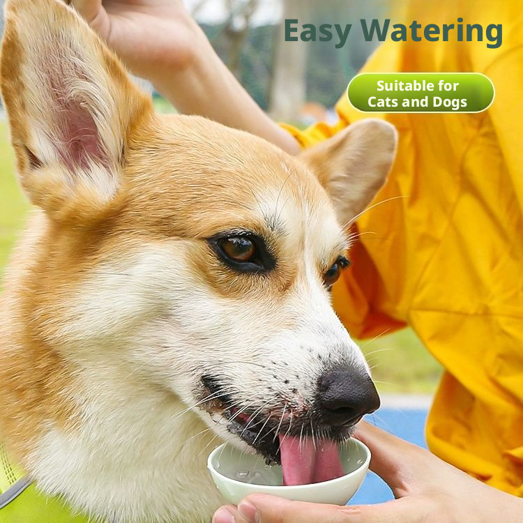 Portable Pet Water Bottle – Dog & Cat Travel Drinking Dispenser for Outdoor Walks