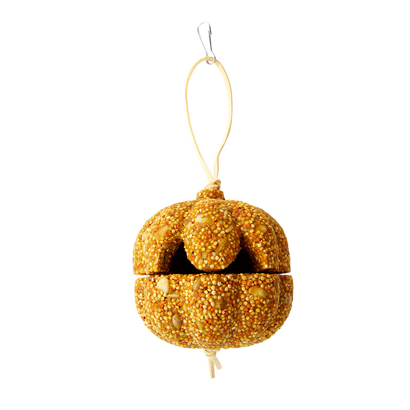 Parrot Chewing Treats – Pumpkin Chew Toy, Nutritious Snacks, Grinding Toys for Budgies, Lovebirds & Cockatiels