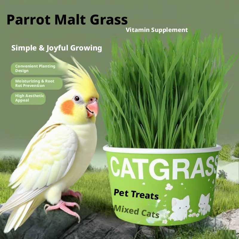 Natural Wheatgrass for Parrots – Edible Bird Grass Toy for Budgies, Cockatiels & Small Birds – Chewable Bird Treat & Foraging Toy