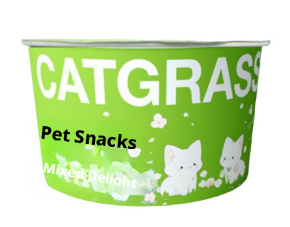 Natural Wheatgrass for Parrots – Edible Bird Grass Toy for Budgies, Cockatiels & Small Birds – Chewable Bird Treat & Foraging Toy