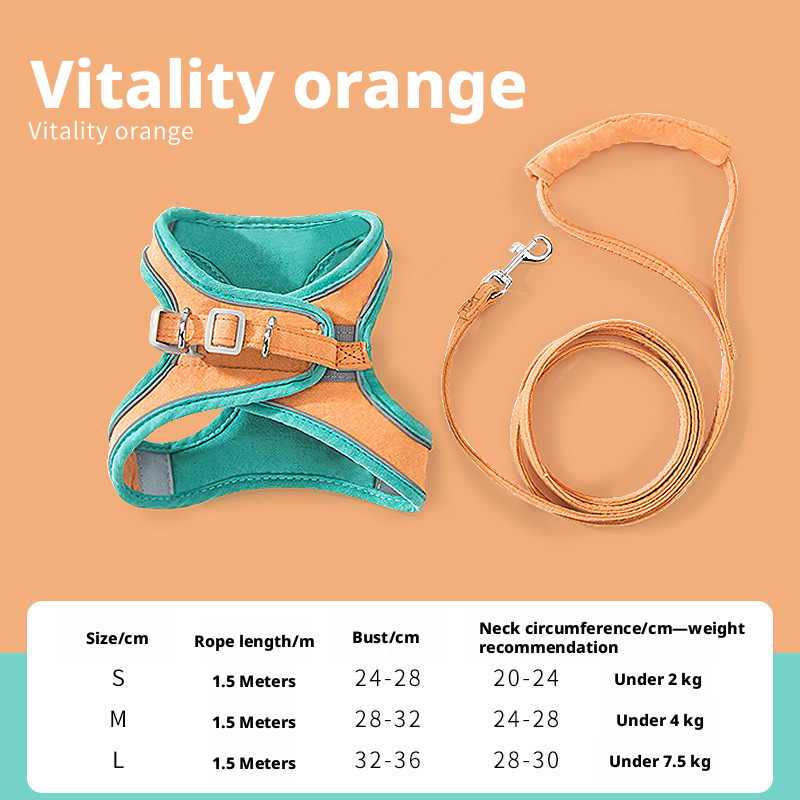 Adjustable Escape-Proof Cat Harness and Leash Set – Cute Breathable Vest for Small Dogs, Anti-Pull & Secure for Outdoor Walks