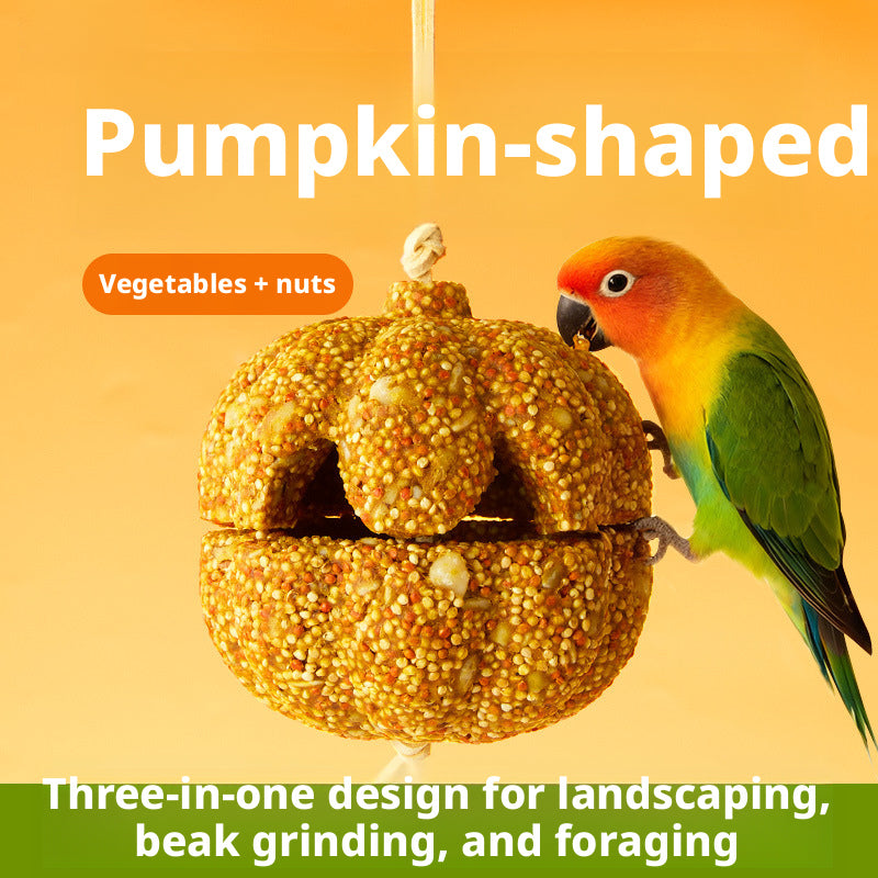 Parrot Chewing Treats – Pumpkin Chew Toy, Nutritious Snacks, Grinding Toys for Budgies, Lovebirds & Cockatiels