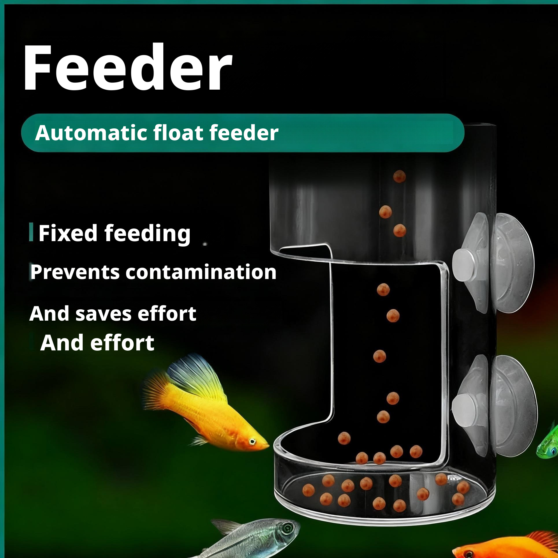 Floating Feeding Ring for Aquarium, Suitable for Parrot Fish and Koi