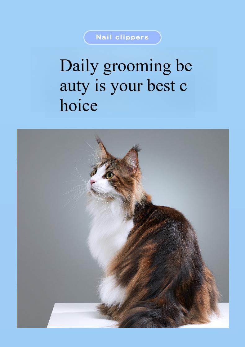 Wholesale Pet Knot Comb Stainless Steel Pet Comb Beauty Brush Dog Scraper Pet Special Comb