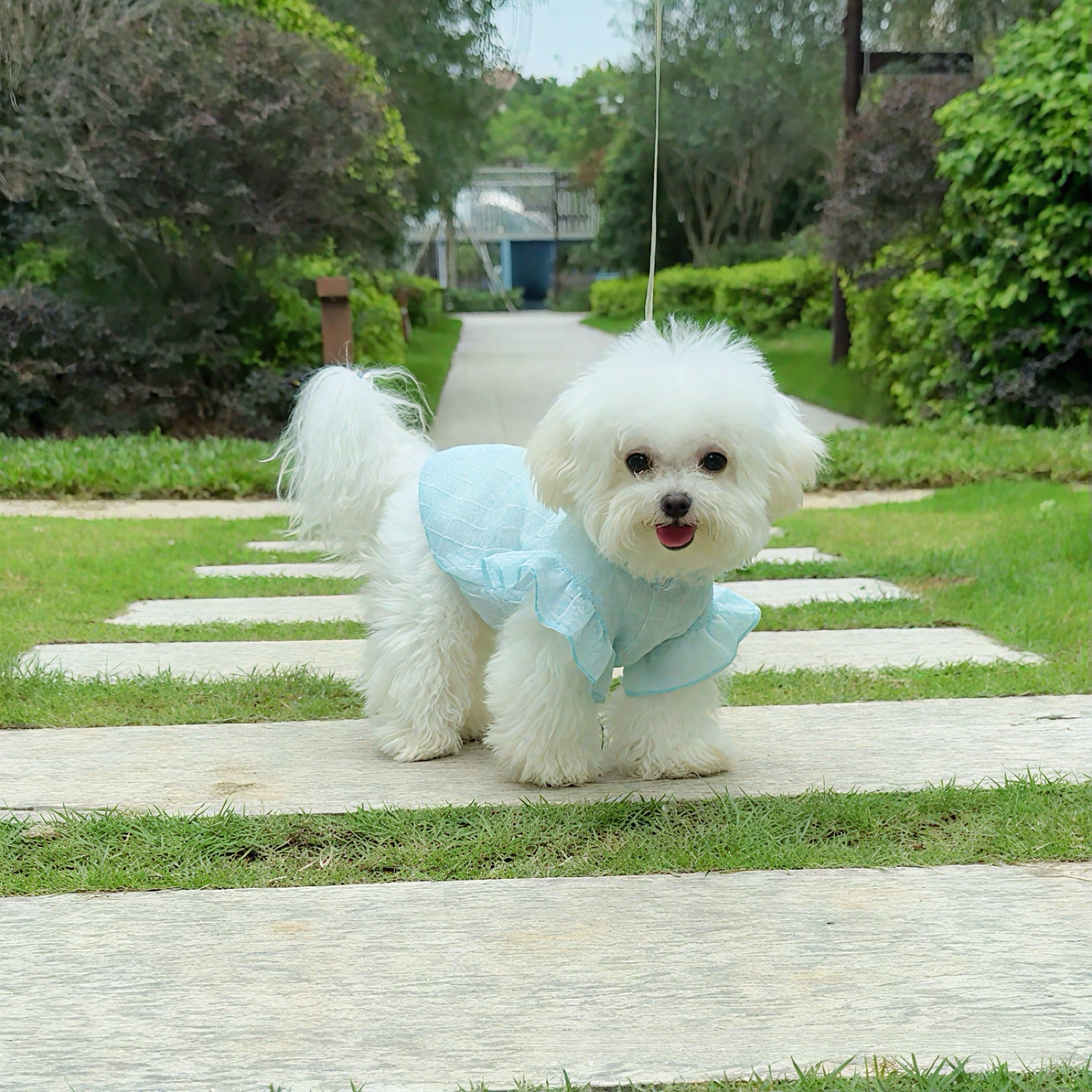 Summer Mesh Breathable Pet Vest, Flutter Sleeve Hollow Out Dog Cat Shirt for Teddy Bichon
