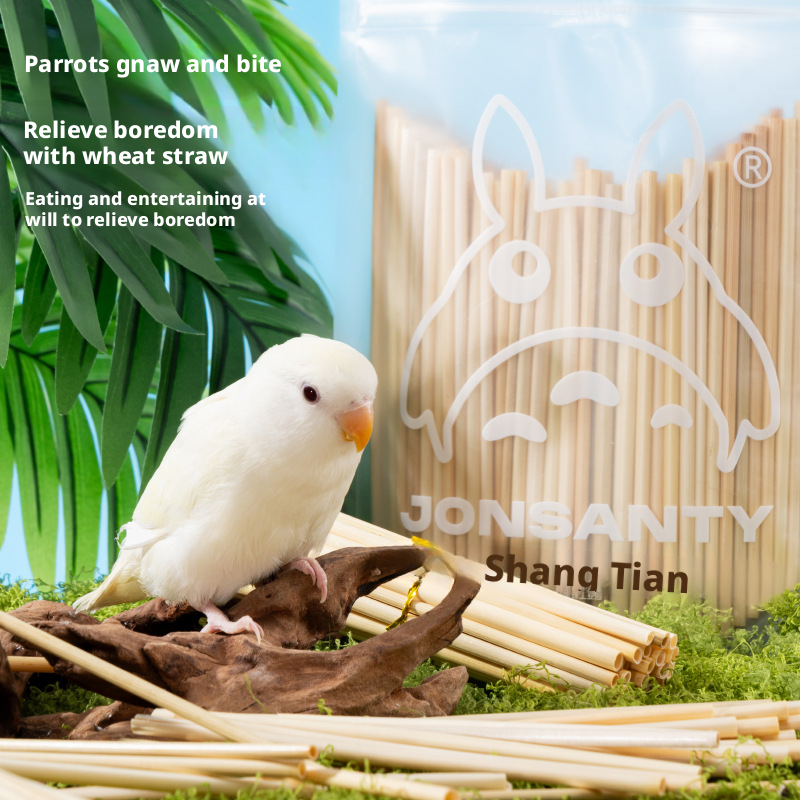 Parrot Chewing Toys – Natural Straw and Corn Stalk Chew Toys, Bird Molar Sticks for Boredom Relief, Self-Entertainment, and Beak Grinding